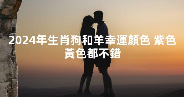 2024年生肖狗和羊幸運顔色 紫色黃色都不錯